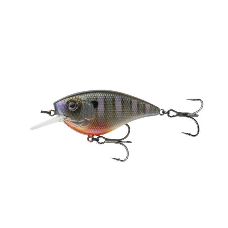 Crush Flat 75X - Bluegill Spawn