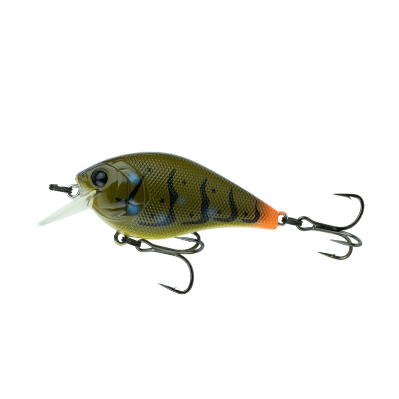 Crush Series - Tipped Crawfish