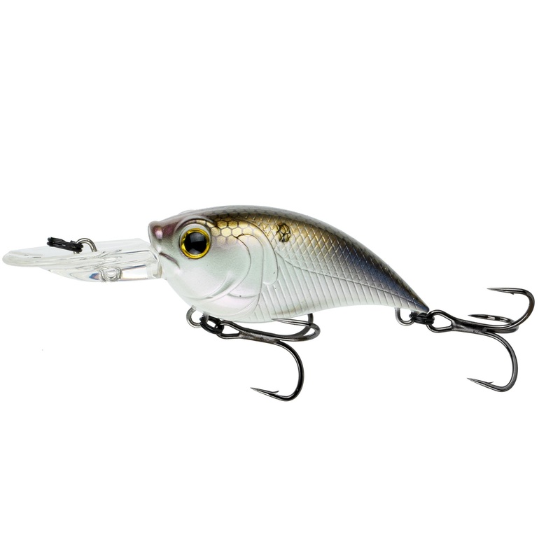 Curve 55 - 4K Shad