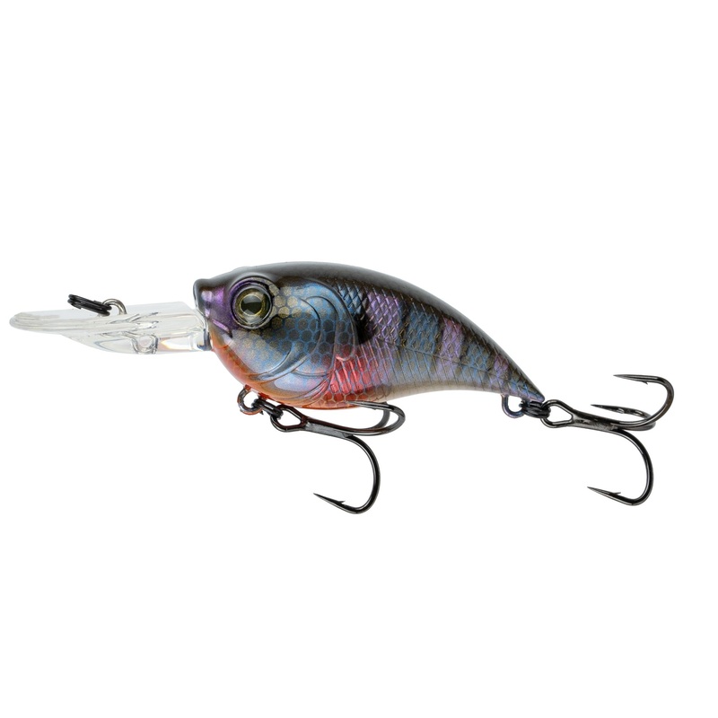 Curve 55 - Bluegill Spawn
