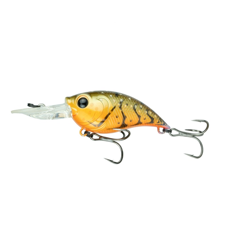 Curve 55 - Crawfish Nook