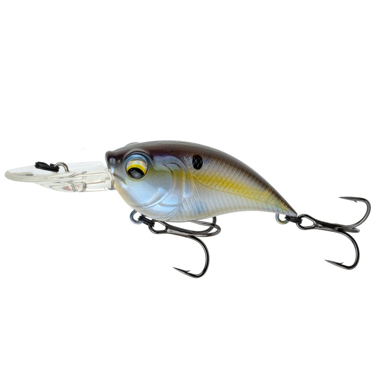 Curve 55 - Shad Sense