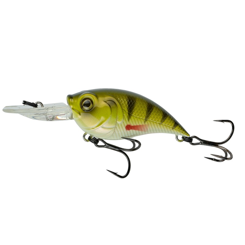Curve 55 - Yellow Perch