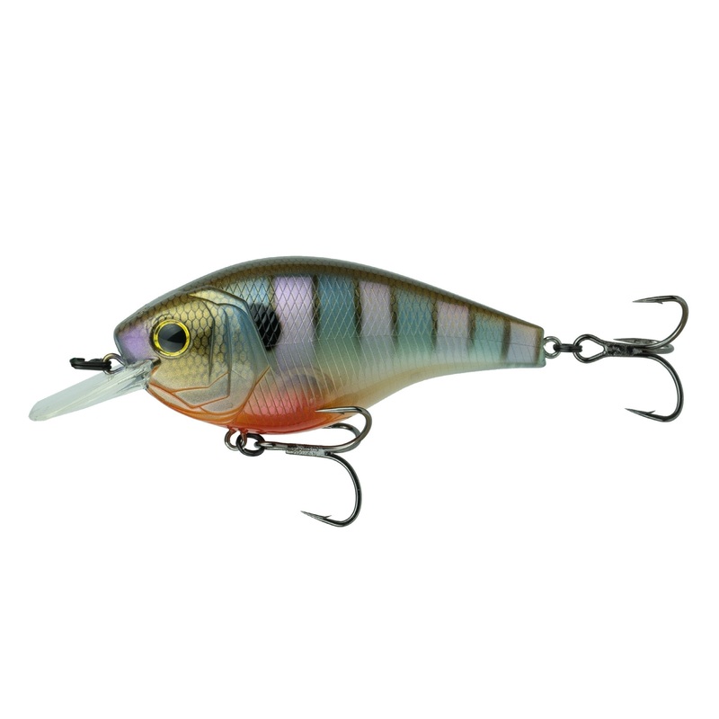 Magnum SB - Bluegill Spawn