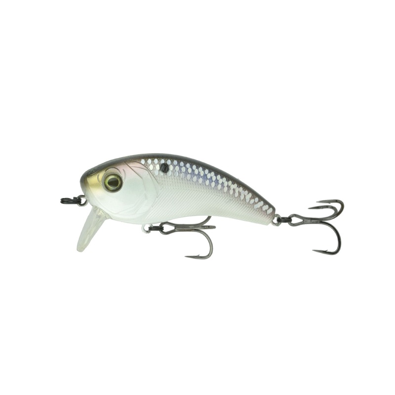 Movement 80WK - Shad Scales