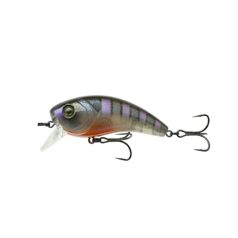 Movement 80X - Bluegill Spawn