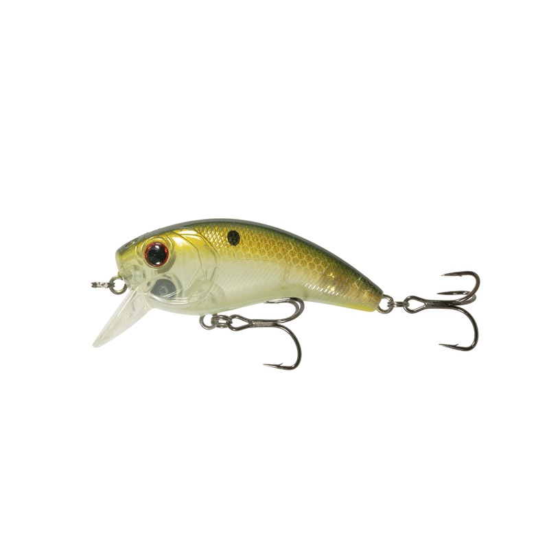 Movement 80X - Copper Green Shad