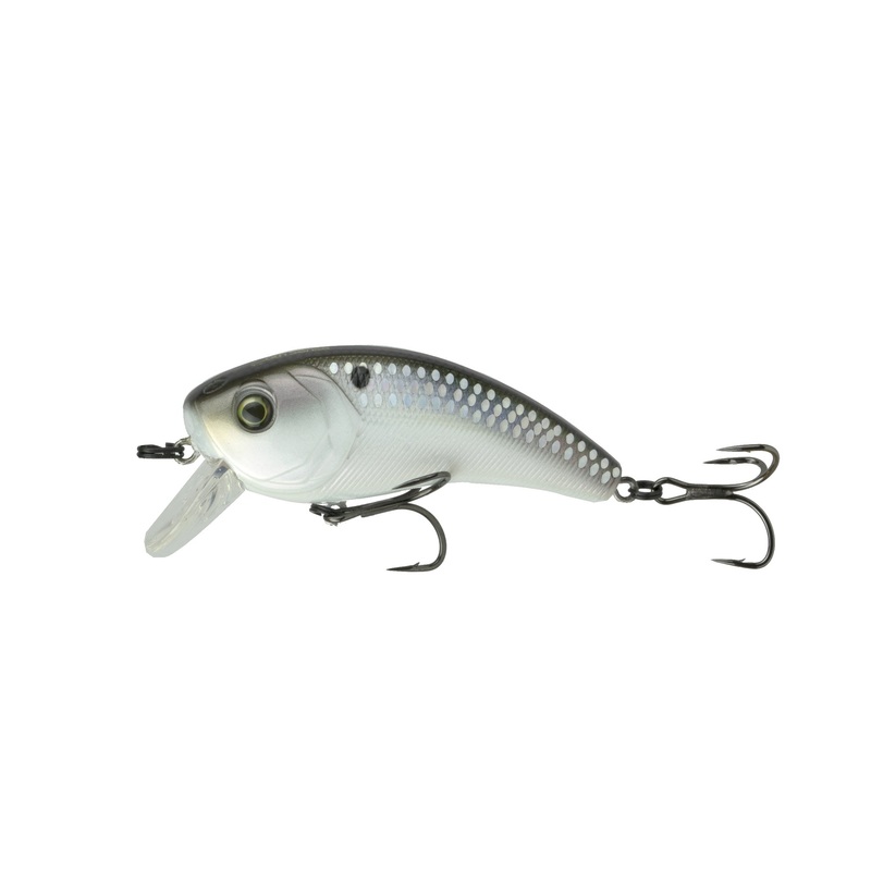 Movement 80X - Shad Scales