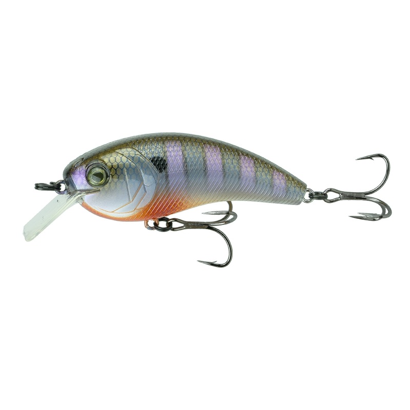 Movement L7 - Bluegill Spawn
