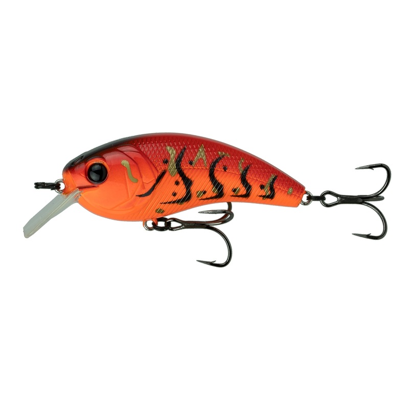 Movement L7 - Boiled Crawfish