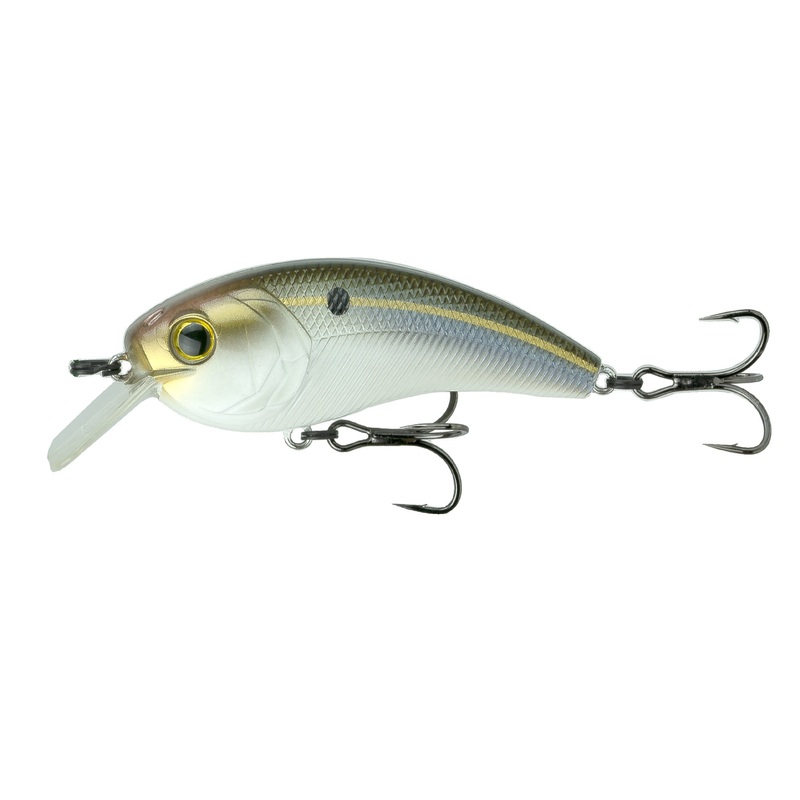 Movement L7 - Threadfin Shad