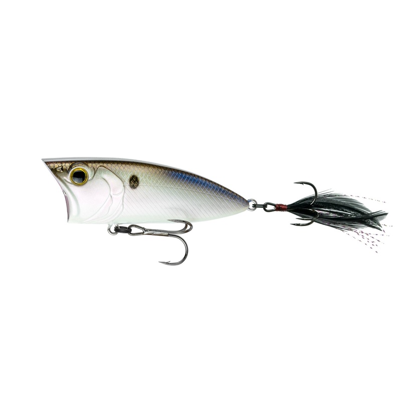 SplashBack Popper - 4K Shad