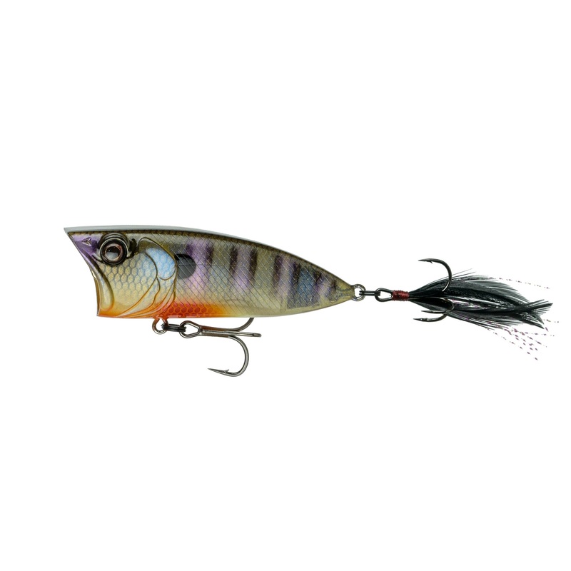 SplashBack Popper - Bluegill Spawn