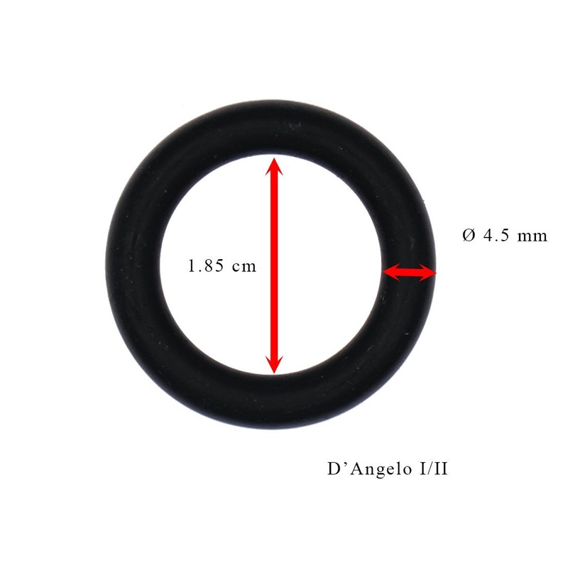 Pathos O-Ring Seals