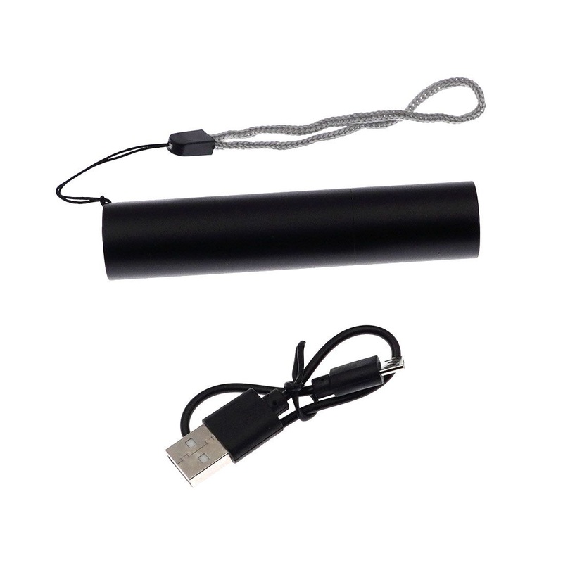 Rechargeable UV Flashlight