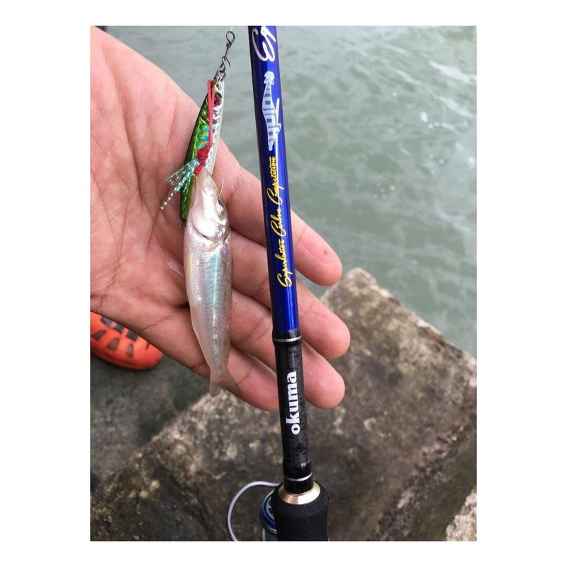 Okuma Egi Pro Rod