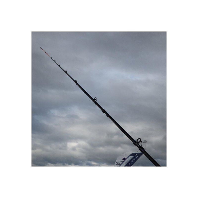 Crazee Micro Jigging Rod