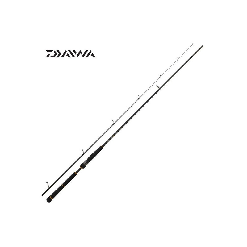 Daiwa New BG CF Seabass Rod