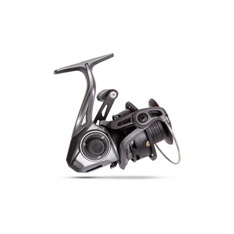 Quantum G Force Reels