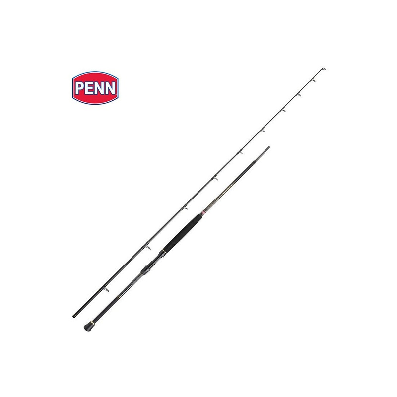 Penn Regiment III Boat Braid Rod