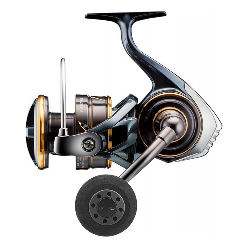 Daiwa Caldia SW Reel