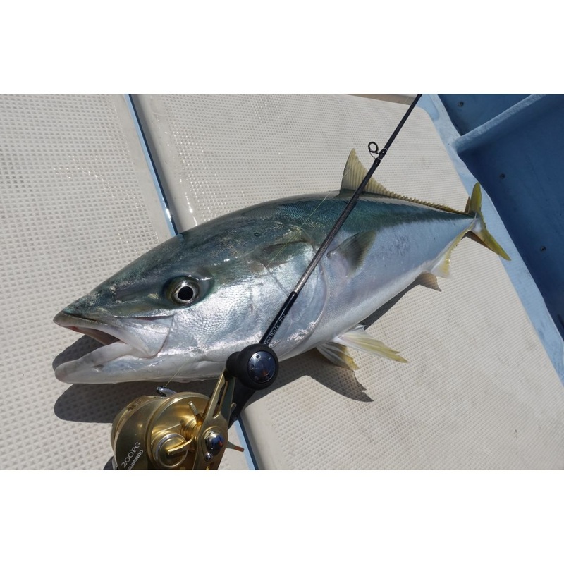 Yamaga Blanks SeaWalk Tai Rubber 611D Rod