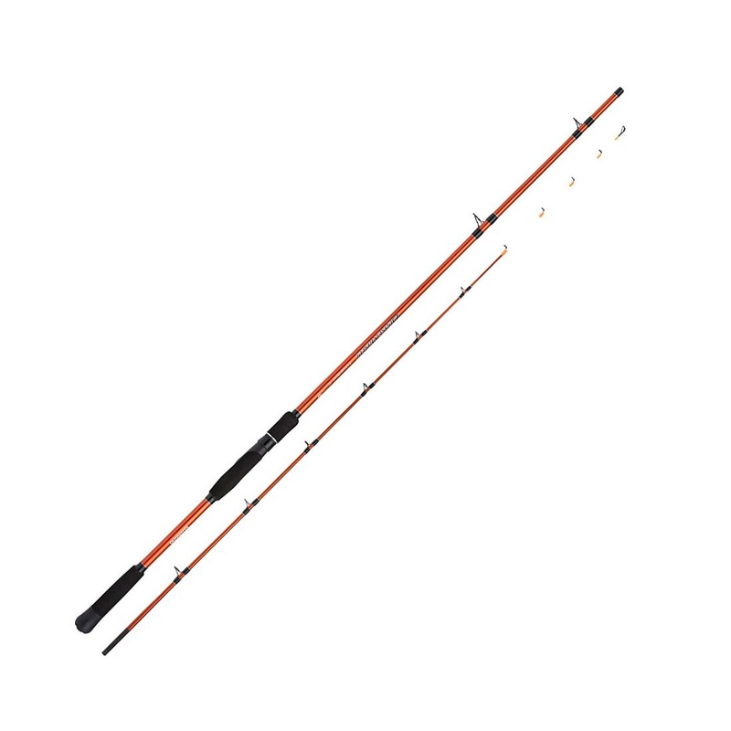 Shimano Beastmaster Tataki Rod