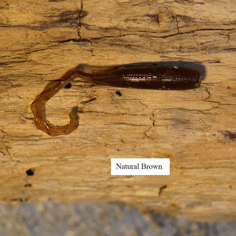 Nerd Fishing Worthy Conger Eel