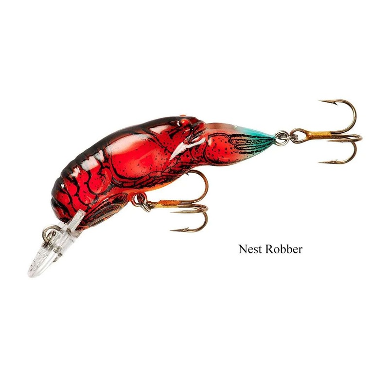 Rebel Middle Wee Crawfish
